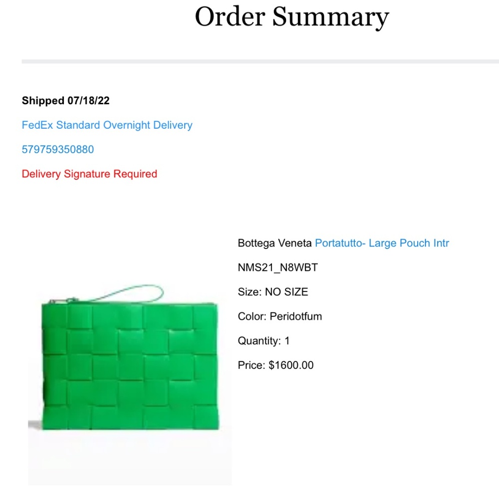 Bottega Veneta Pouch Bag - Picture 11 of 11